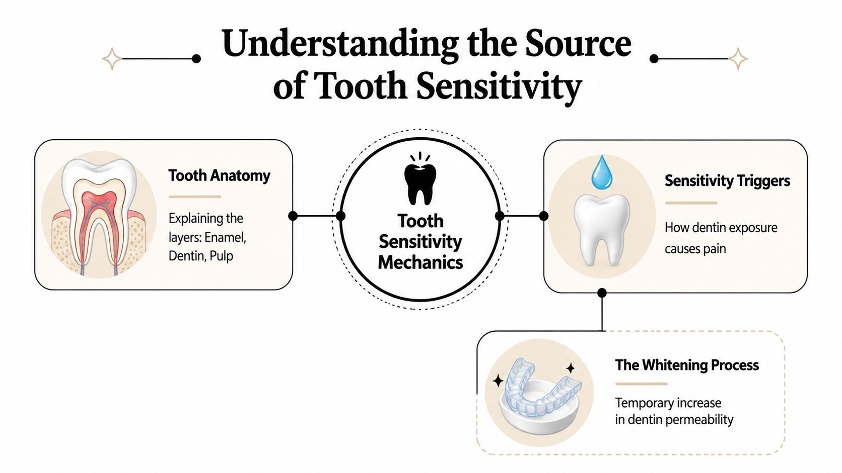 Skotzko Family Dental Clinic | Teeth Whitening for Sensitive Teeth: Get a Brighter Smile A diagram explaining the mechanics of tooth sensitivity, including tooth anatomy, sensitivity triggers, and the whitening process.